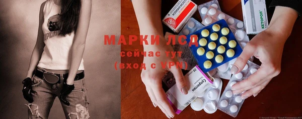 сатива Лихославль