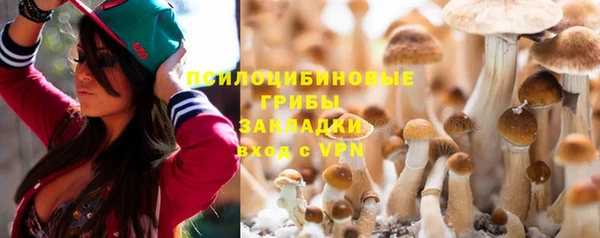 дмт Липки