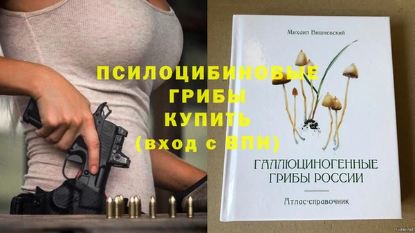 сатива Лихославль