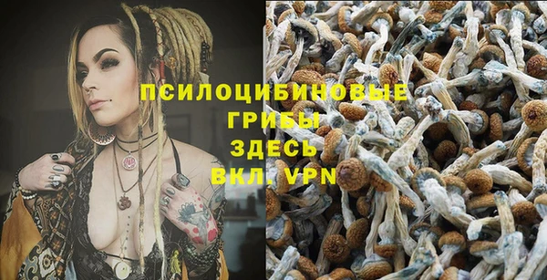 сатива Лихославль